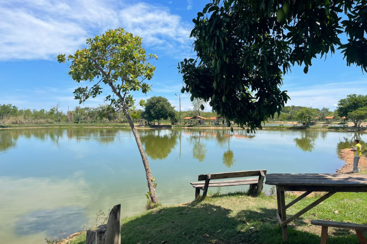 Pesque e pague conquista clientes com comida regional, descanso e natureza
