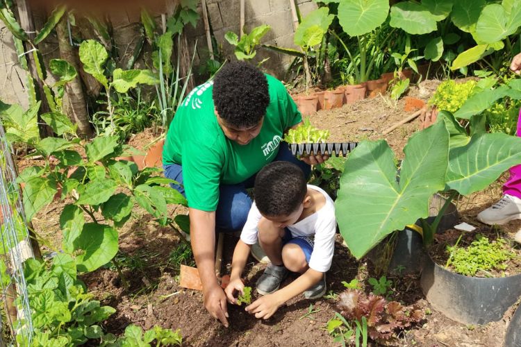 Alimentação fora do lar por meio de Horta Comunitária