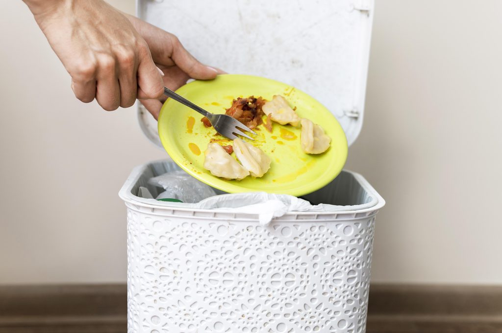 Comida descartada no lixo evidencia o impacto do desperdício de alimentos no consumo.